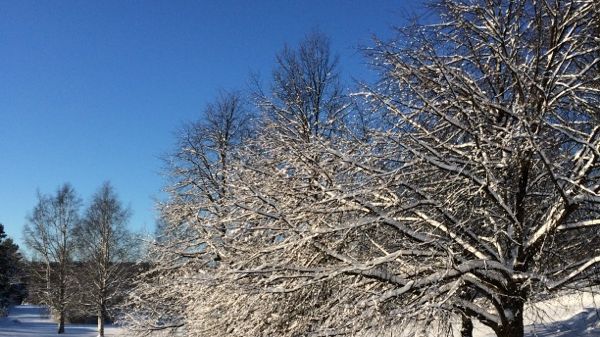 Barnplantorna erbjuder föräldrautbildningshelg i Skellefteå