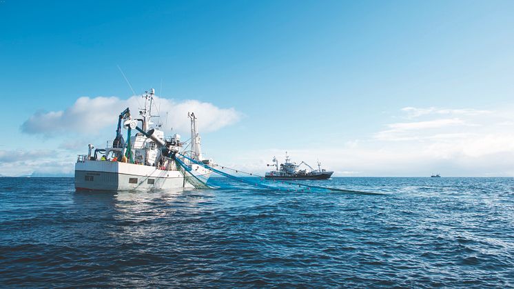 Norwegische Meeresfrüchtexporte nehmen mehr als doppelt in den vergangenen 10 Jahren zu