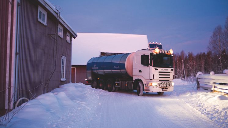 Norrmejeriers mjölkbil hämtar mjölk en vintermorgon