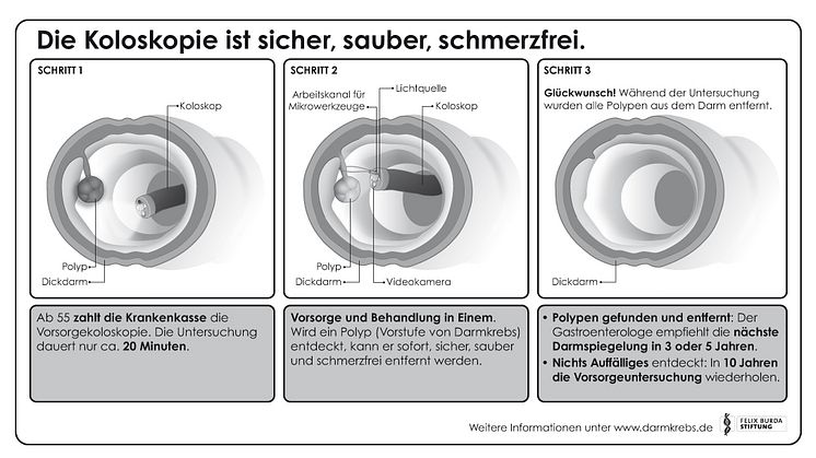 Wie funktioniert die Darmkrebsvorsorge mittels der Koloskopie?