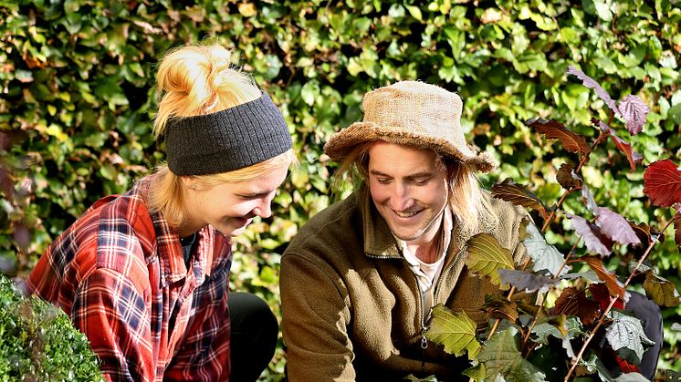 Hösten är bästa tiden att plantera. Dags för Stora Planteringsveckan 5-13 september. Foto: Sofia Ernerot