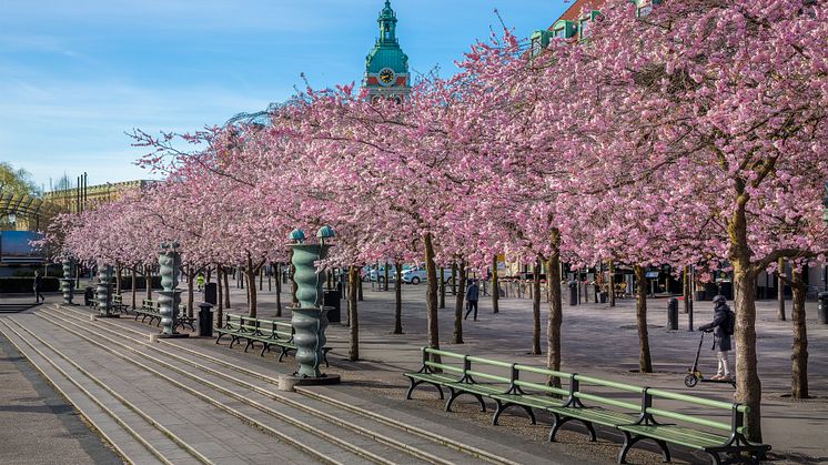 Nolas långsoffor från Kungsträdgården i Stockholm. Foto: Jann Lipka