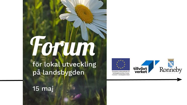 Projektet Forum för lokala utvecklingsråd på landsbygden avslutas men tar nytt avstamp i visioner och utvecklingsplaner.