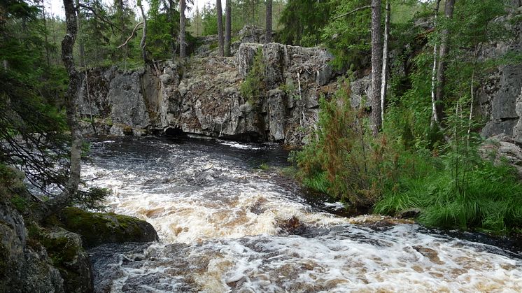 Åtgärdsplaner för att hantera översvämning i Falun, Vansbro och Malung är nu klara