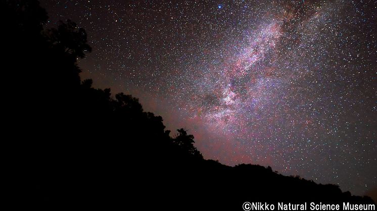 Stars above Senjogahara