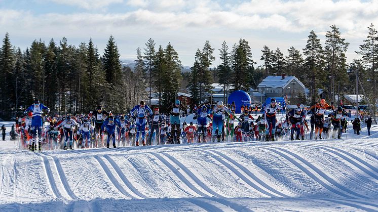 I fjor stod nesten 500 deltakere på startstreken under Trysil Skimaraton. I år går det mot rekorddeltakelse. Foto: Jonas Sjögren/Destinasjon Trysil