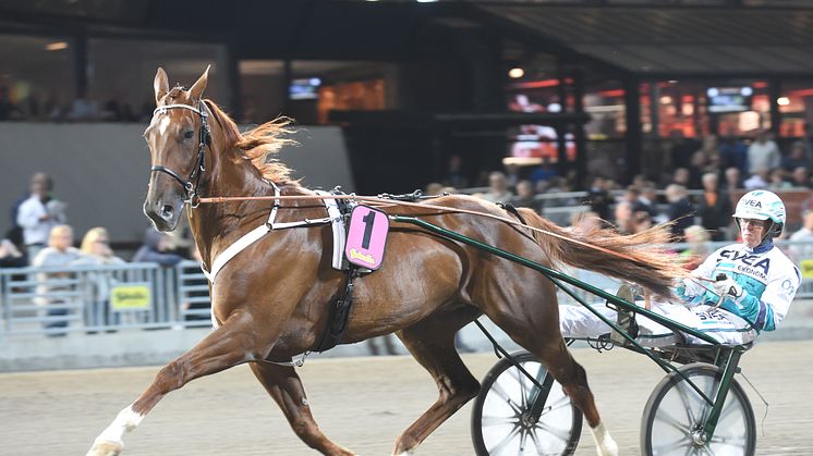 Sista chansen att knipa en direktplats till Elitloppet på lördag