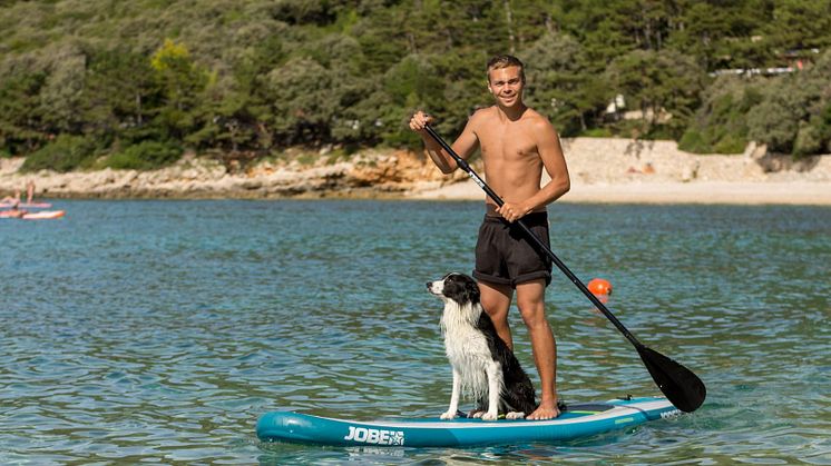 Hundeexperte Lukas Pratschker gibt Tipps für den Sommer mit Hund