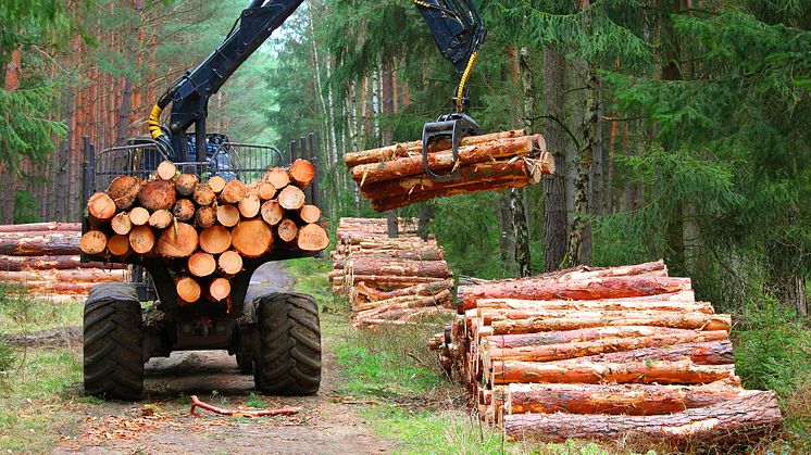 Behovet av fossilfria drivmedel kommer finnas kvar, bland annat för skogsindustrin och sjöfarten. Foto: Getty Images