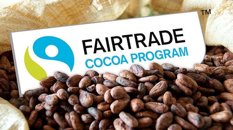 Schyssta Bollar - Delicatobollar med fairtrade-certifierad kakao