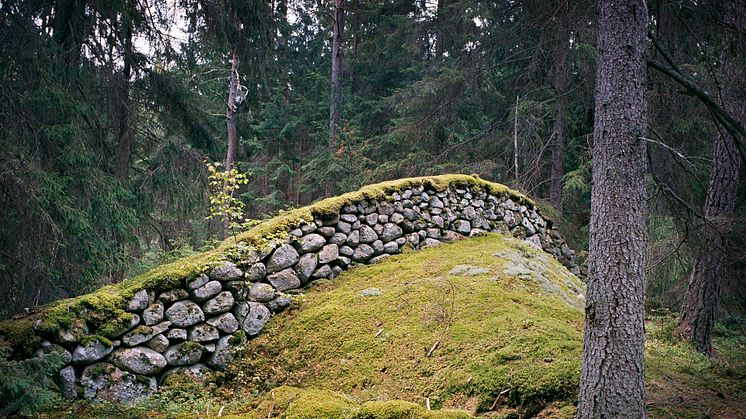Det åttonde underverket - De småländska stenmurarna