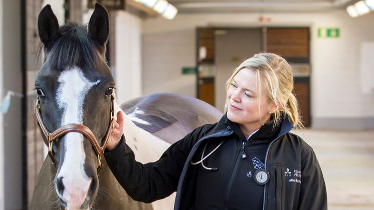 Uppsalaforskare får stipendium – går till botten med livshotande hästsjukdom 