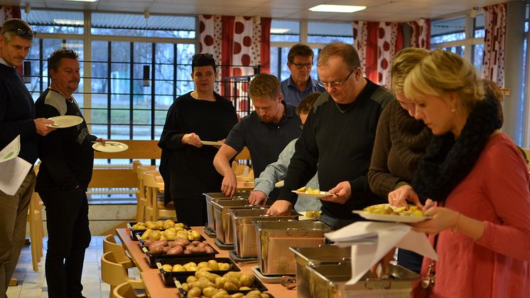 Potatis i storhushåll