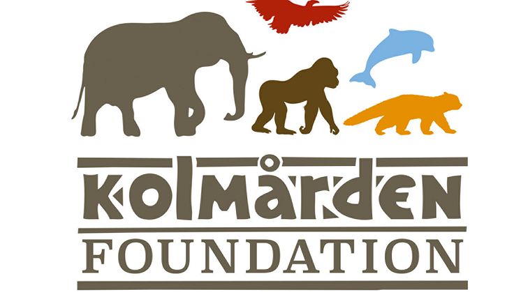 Kolmården Foundation stöttar ukrainska djurparker och fem nya bevarandeprojekt