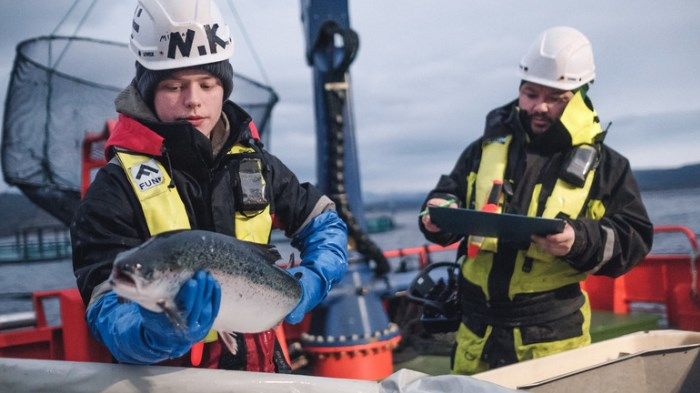 Cermaq publishes quarterly sustainability results on key indicators related to fish health, environmental and social topics.