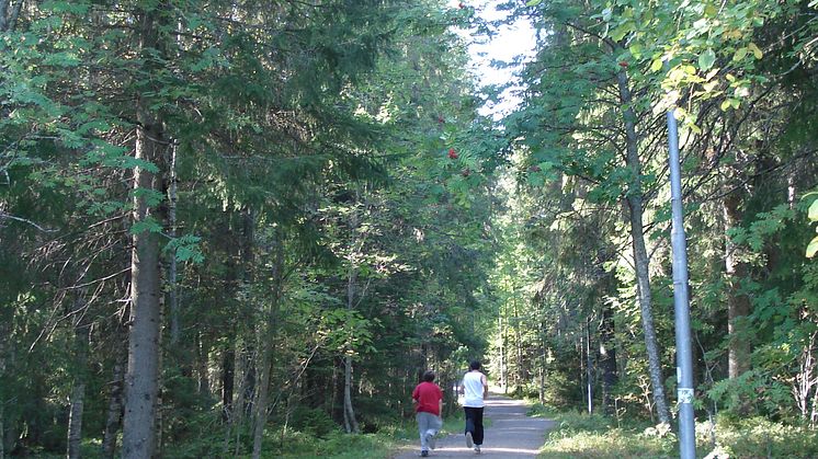 Tätortsnära skog