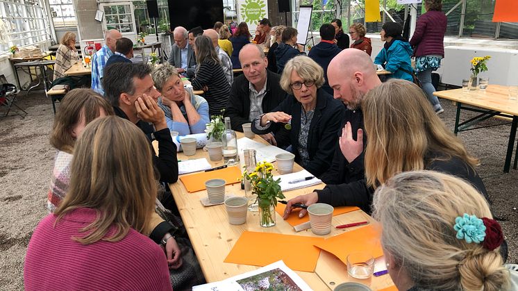 Workshop kring Pollineringsmanifestet på Rosendals Trädgård 23 maj. Foto: Anna Lind Lewin