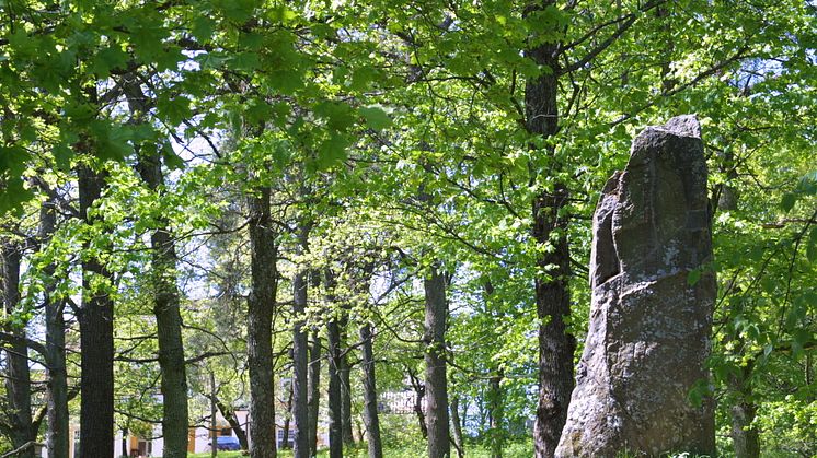 Runsten vid Sollentunaholm, Sollentuna kommun