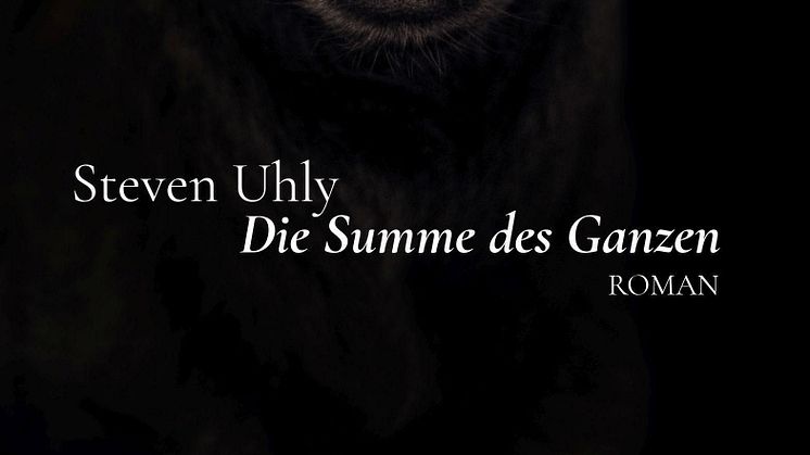 Steven Uhly – Die Summe des Ganzen