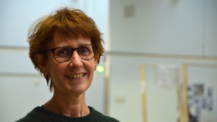 Kristina Fridh ny professor i inredningsarkitektur