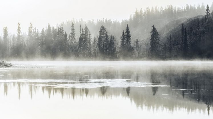 IDO inspiroituu suomalaisesta luonnosta, josta kumpuavat tuotteiden puhtaat linjat sekä käytännöllisyys ja kestävyys.