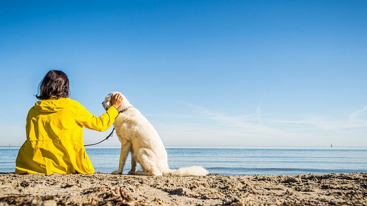 Lübeck_Travemünde_Seebad,_Frau_mit_Hund_am_Strand.jpg