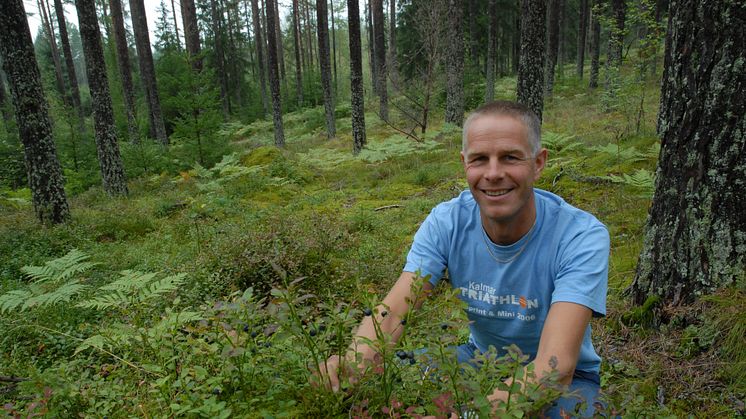 Mycket blåbär till frukostfilen i år