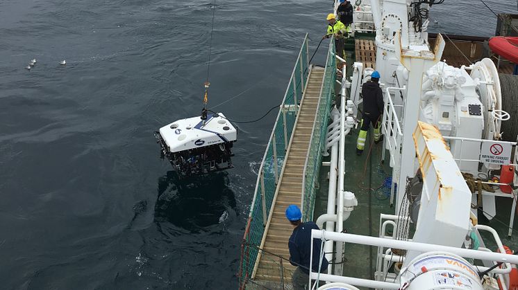 Med en fjärrstyrd autonom farkost (ROV) togs bottenprover vid expeditionen 2016. Foto: Wei-Li Hong﻿﻿