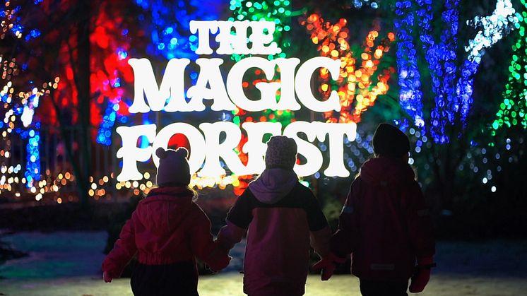 The Magic Forest – succén i Stadsparken är tillbaka