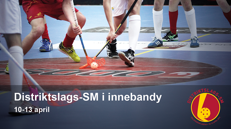 SDF-SM i innebandy