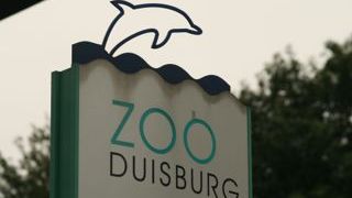 Zoo Duisburg (WDSF-Foto)