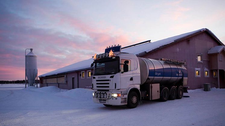 Norrmejerier höjer betalningen till bönderna - Vi måste trygga tillgången på norrländsk mjölk