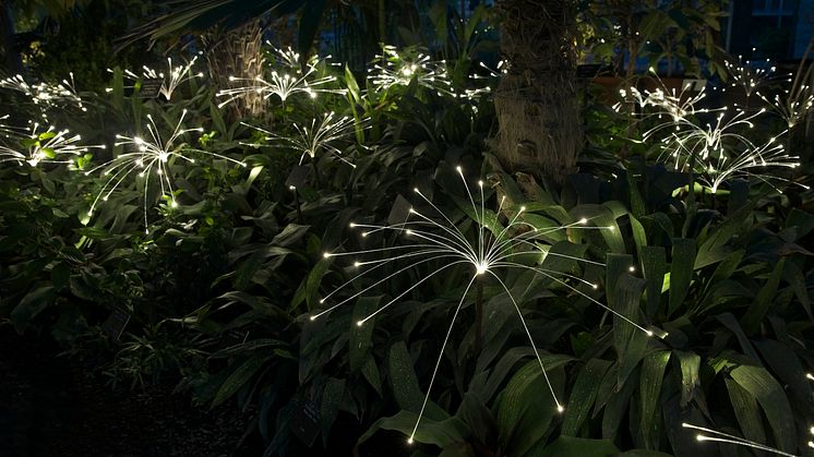 Fireflies Bruce Munro 2014, Foto: Mark Pickthall