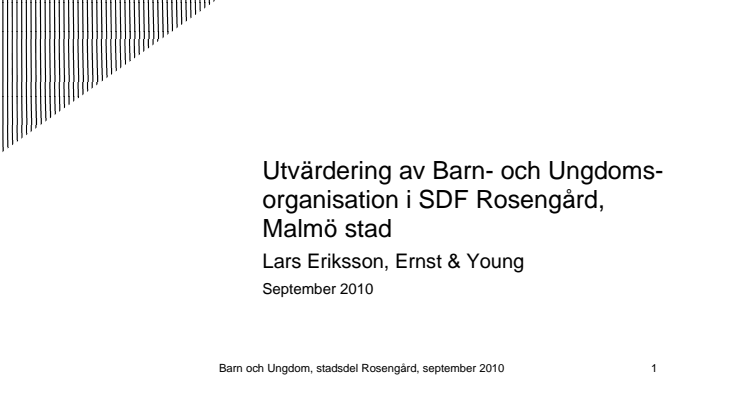Utvärdering av barn och ungdomsorganisationen i SDF Rosengård, Malmö stad