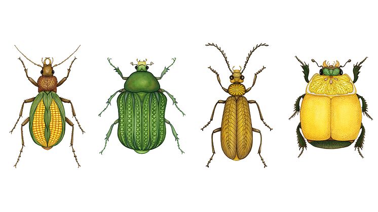 ”Majsbaggen”, ”Ärtbaggen”, ”Vetebaggen” och ”Citronbaggen” är några av SilverAnna Daniels fantastiska insekter.﻿