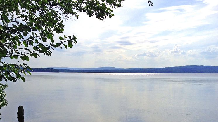 Länsstyrelsen har under 10 år bedrivit miljögiftsprovtagning i mer än 60 sjöar och vattendrag i Dalarna 