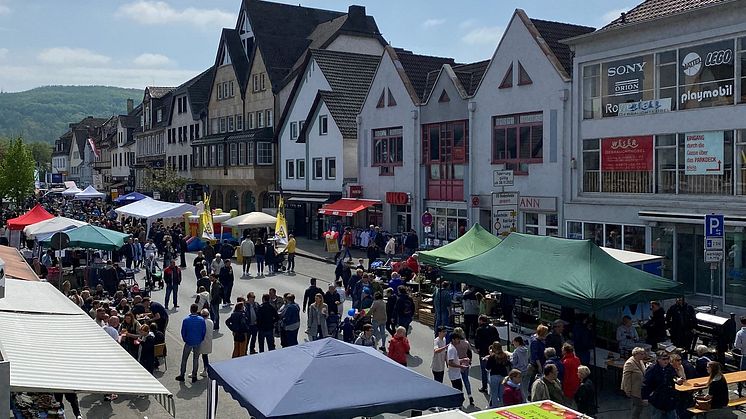 Das Blütenfest in Beverungen