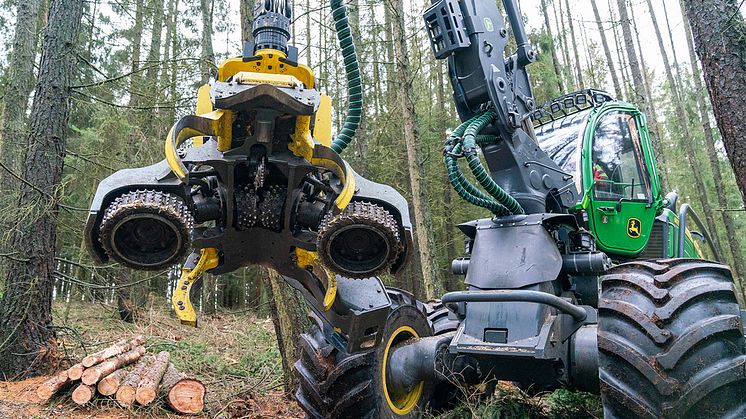 Ökologischer Ausgleich: Langfristig lassen Bayernwerk Netz und Bayerische KulturLandStiftung in Raumetengrün einen klimastabilen Zukunftswald entstehen.