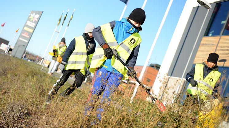 Nu städar lokala fotbollsungdomar i Gränbystaden igen. IF VP P06, på bilden, har tidigare haft uppdraget. Foto: Josefin Warg