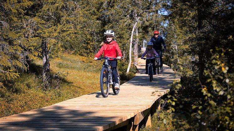 Mange vil på en aktiv høstferie, og i Trysil er det sykling som gjelder. Foto: Ola Matsson/SkiStar Trysil