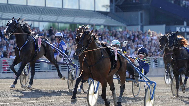 Elitloppet: Hemmahästen Iceland vann – och rekordhelg för ATG 