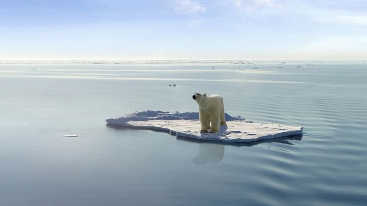 MÄNNISKA OCH  NATUR: Klimatförändringarnas historia