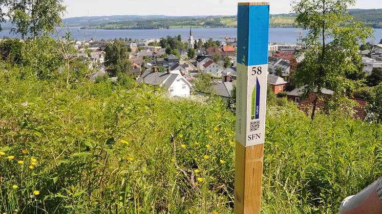 Stolpejakten er lavterskel orientering, hvor alle kan delta gratis. Nå får Foreningen Stolpejakten støtte til å videreutvikle tilbudet, med mål om enda flere stolpejegere. (Foto: Stolpejakten Gjøvik)