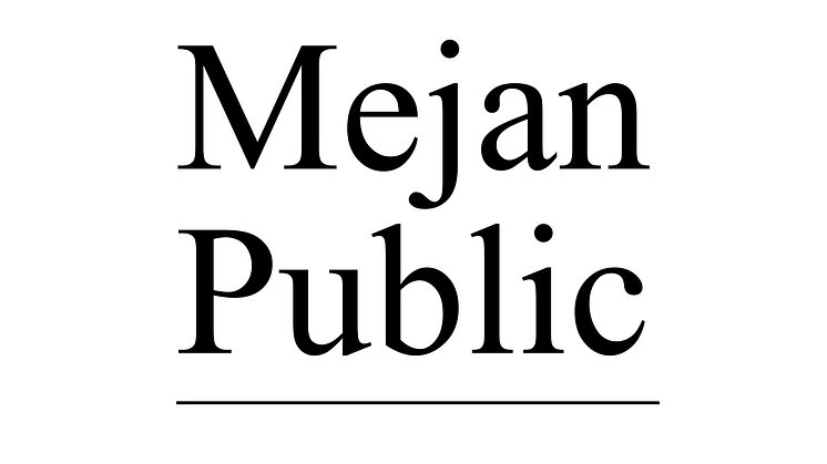 Mejan Public logo