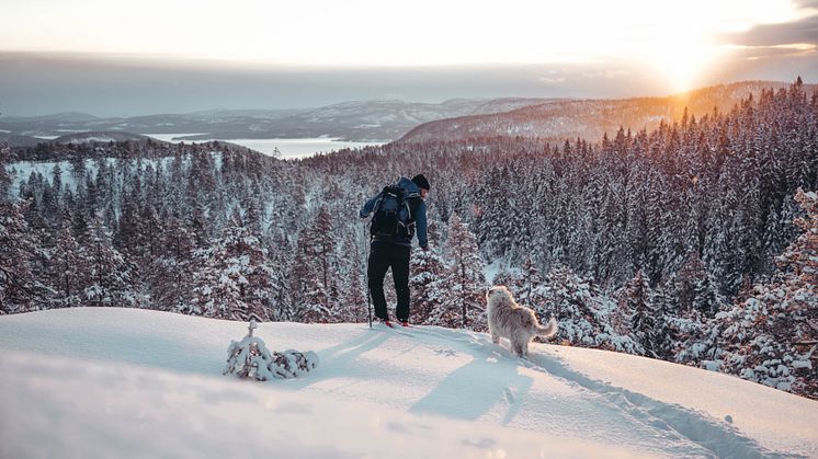 2020 – ett nytt decennium väntar