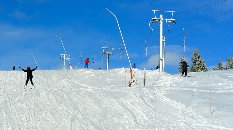 Stø på snø - Foto: Ole Jørgen Grumstad