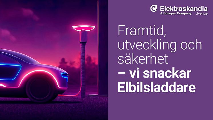 Röster från några av Elektroskandias etablerade leverantörer av elbilsladdare