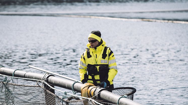 Merde i Lofoten