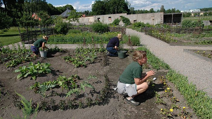 Örebro kommun erbjuder feriepraktik till 2000 ungdomar.