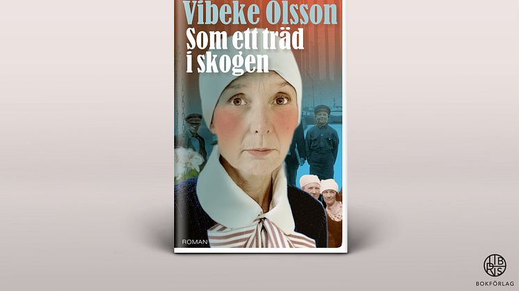 Prisbelönta Vibeke Olsson släpper ny bok i serien om Bricken
